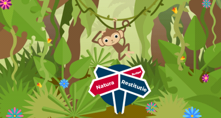 Waarom zorgverzekering vergelijken best chill is