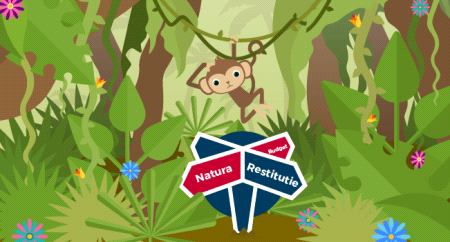 Poliswijzer wijst je de weg in de polisjungle
