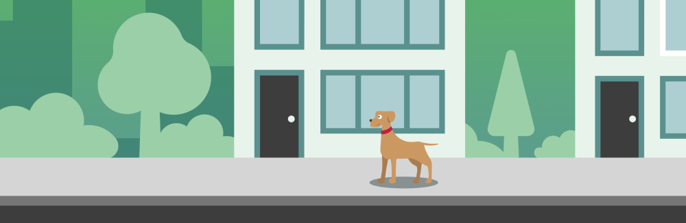 woonverzekering-huisdieren-hond.png